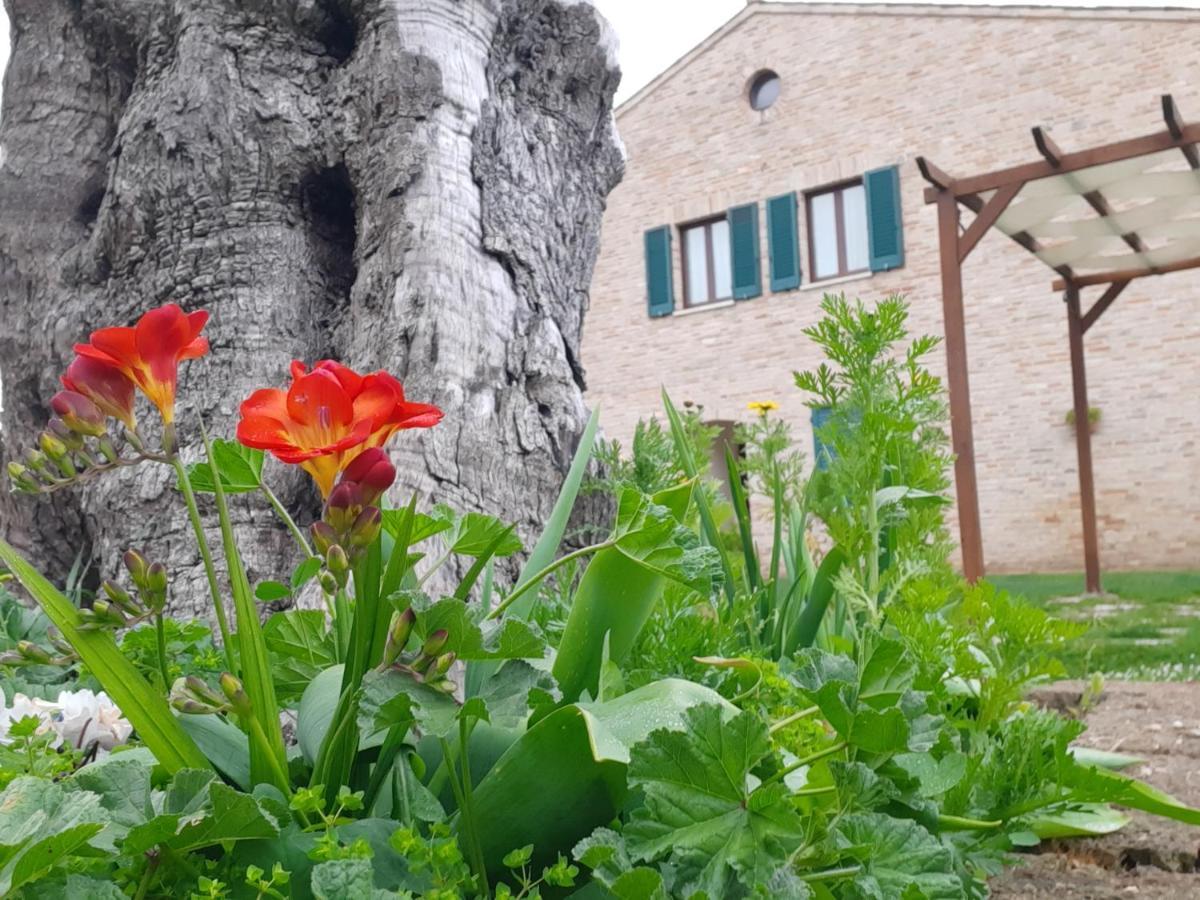 الشقق الفندقية بورتو ريكاناتيفي  Casale Del Conero المظهر الخارجي الصورة